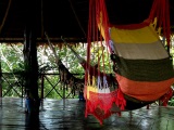 Hammock area