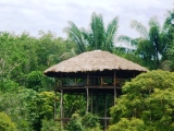 Hammock area