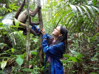 amazonas-088b