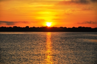 dsc0501b