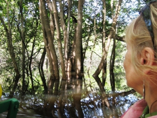 on-the-boat-in-flooded-jungle-1b