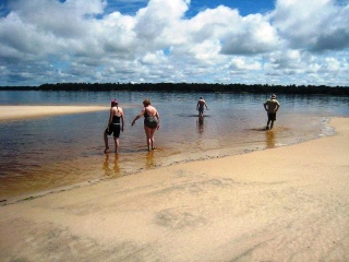 swimming-on-a-sandbarb