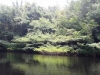 20150914_122601b