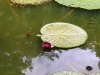 20160605_113432b