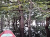 20180328_094233b