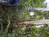 20190618_104804b
