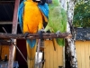20190619_103308b