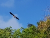 20190620_091832b