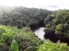 ANAVILHANAS_b