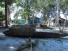 Aldeia Indigena - comunidade Rio  Cuieiras (82)b