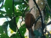 DSC00161b