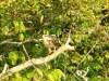 DSC00298b
