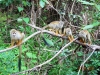DSC00955b.jpg