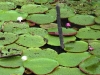 DSC01888b