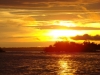 DSC02930b