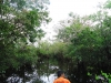DSC05395b