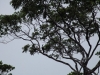 DSCF3515_resizeb