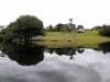 DSCN0202_1b