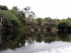 DSCN0205_1b