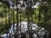 DSCN0213b