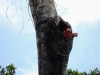 DSCN0224b