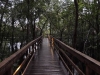 DSCN0278b