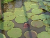DSCN1439B