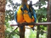 DSCN5395b
