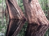 FullSizeRenderb