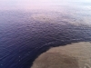 IMAG0783b