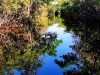 IMG-20160801-WA0012b