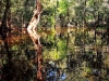 IMG-20160801-WA0014b