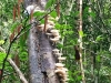 IMG-20170410-WA0005b