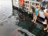 IMG-20180116-WA0015b