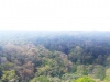 IMG-20180720-WA0006b