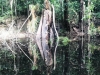 IMG-20190421-WA0014