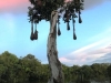 IMG-20190421-WA0033