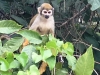 IMG-20190421-WA0035