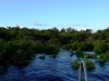 IMG-20190514-WA0000b