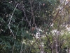IMG_0062b