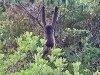 IMG_20190807_173859429b