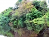 IMG_3880-001b