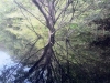 IMG_6827b.jpeg
