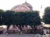 IMG_8559b