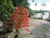 SAMSUNG CAMERA PICTURES