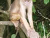 Nova Imagem (1)