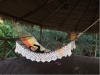 Nova Imagem (10)