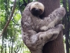 Nova Imagem (4)_edited