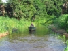 Região de Ariaú (52)b