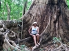 SAMSUNG CAMERA PICTURES